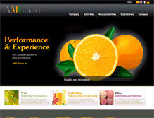 Tablet Screenshot of amcgrupo.eu